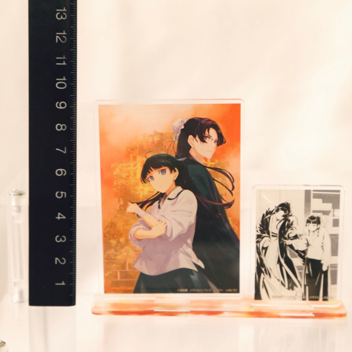 The Apothecary Diaries Acrylic Stands