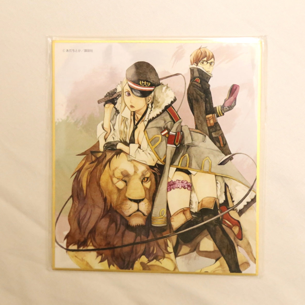 Noragami Card Board