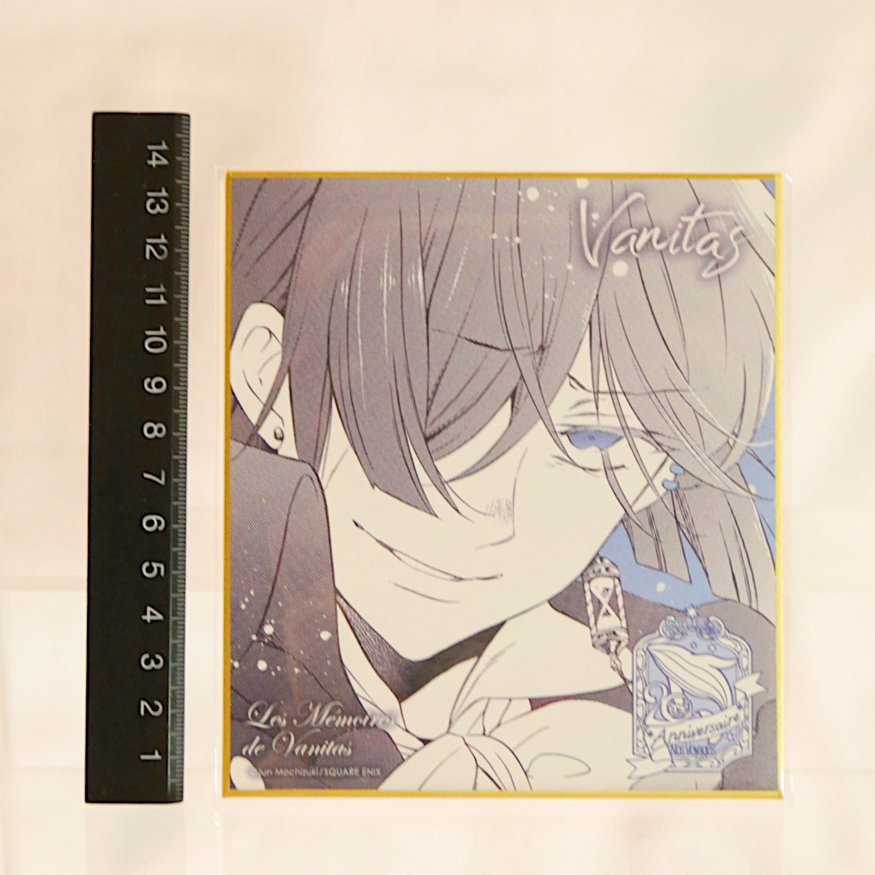 The Case Study of Vanitas Card Board