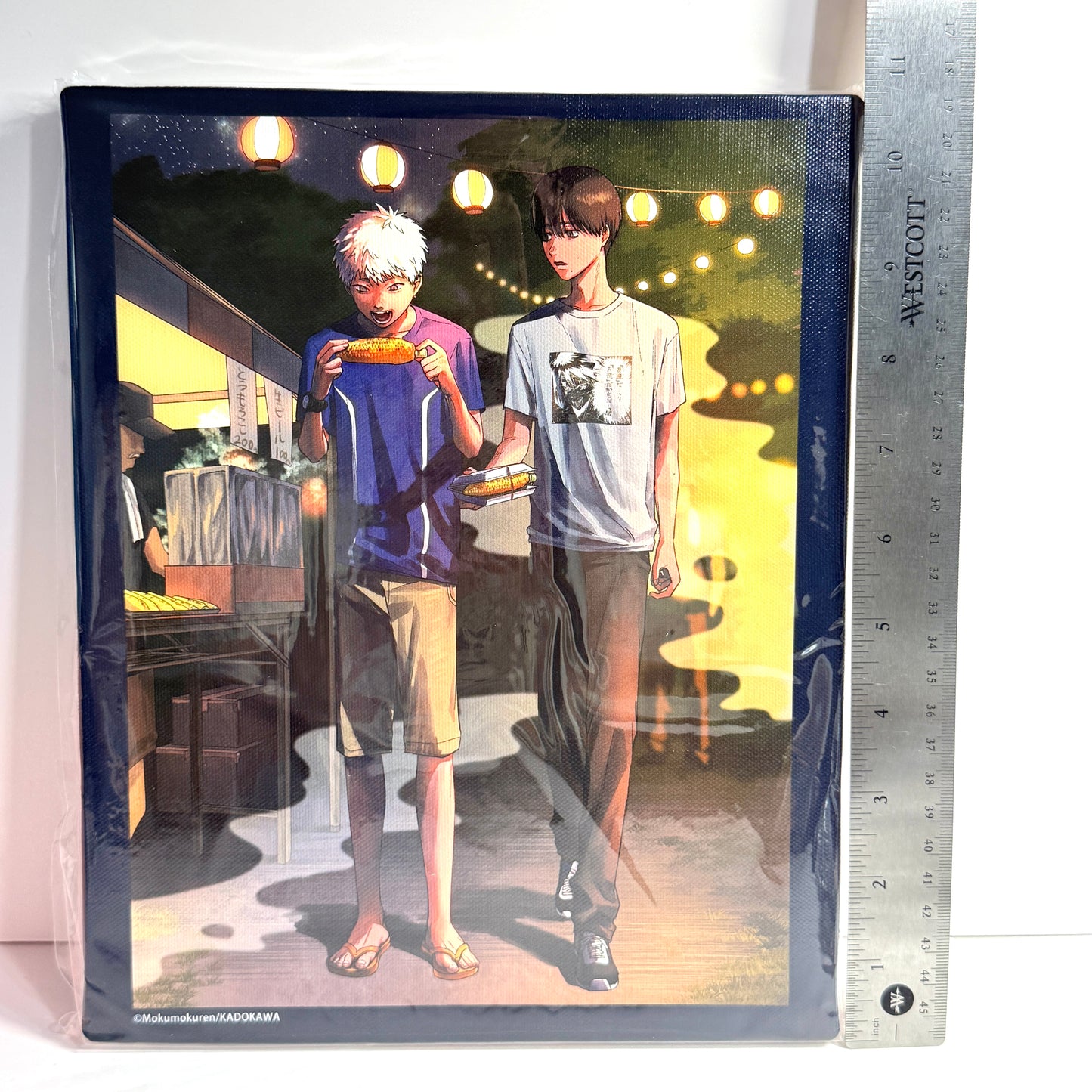 The Summer Hikaru Died Lottery Prizes