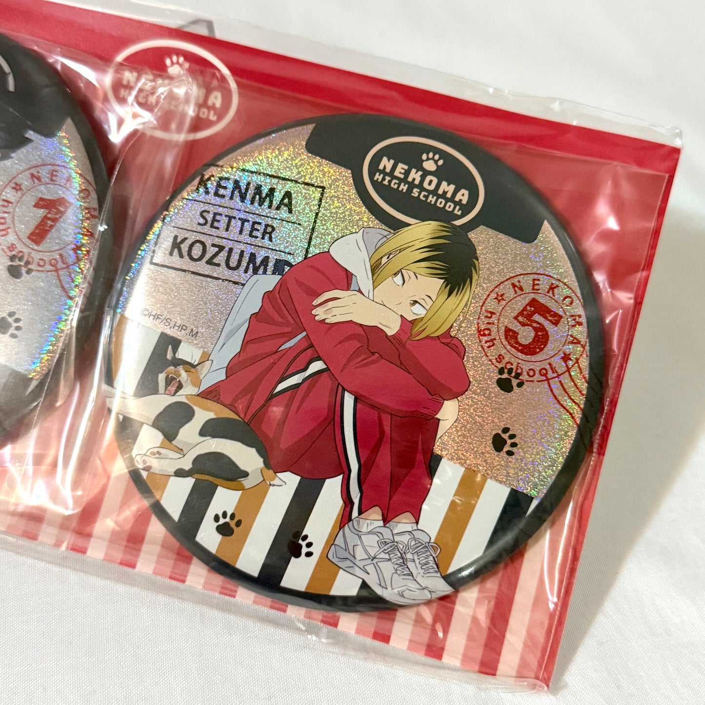 Haikyu Badge Set