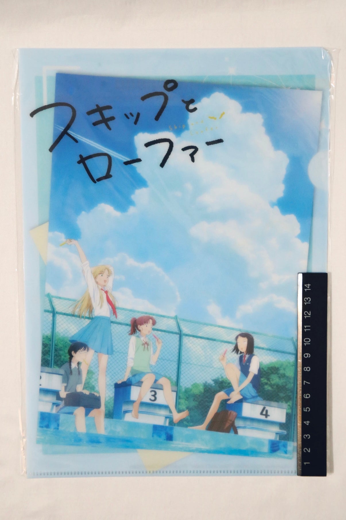Skip and Loafer Acrylic Stands & Folder