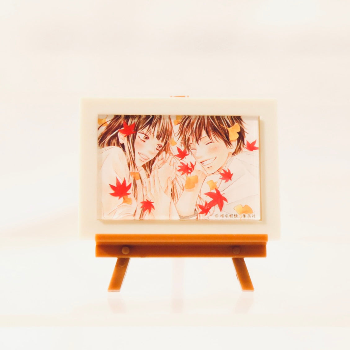 Kimi ni Todoke MINI Art Frame