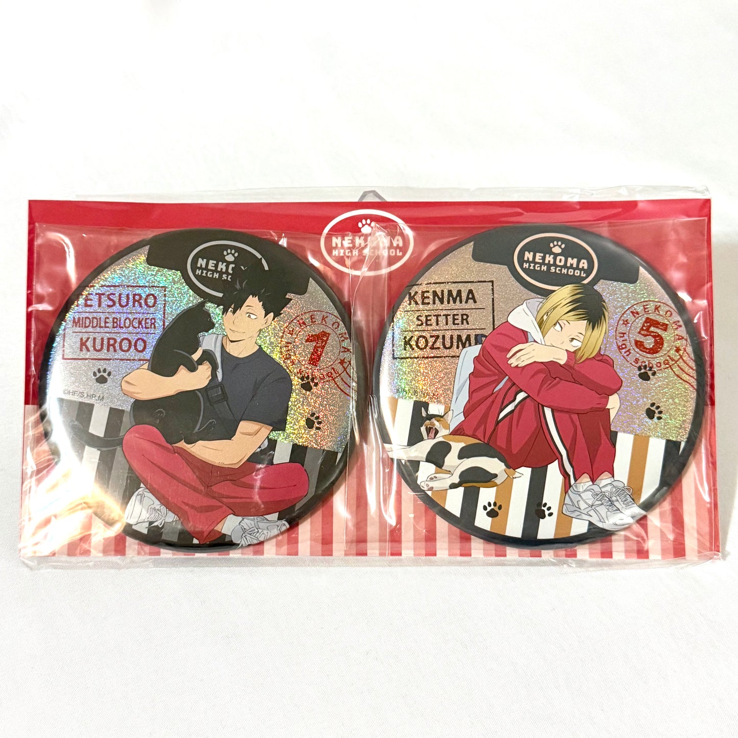 Haikyu Badge Set