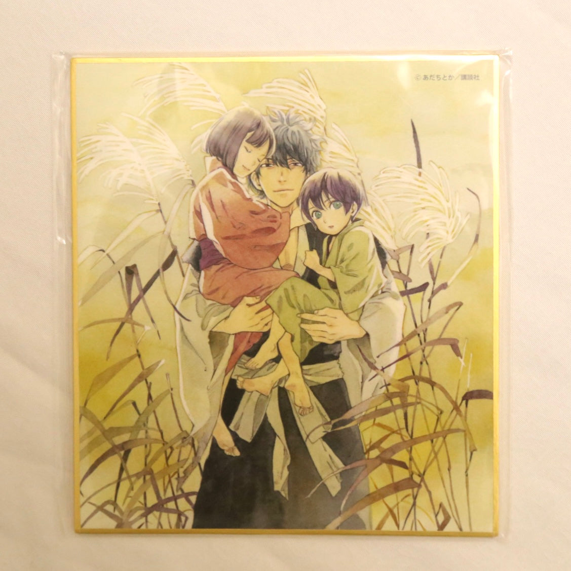 Noragami Card Board